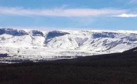 Prairie Wind Cottages image