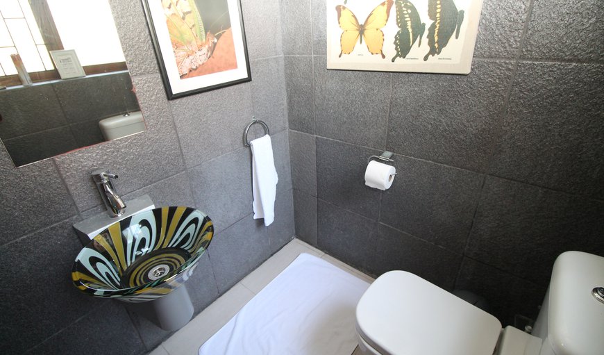 Casa Cascata: Downstairs Toilet