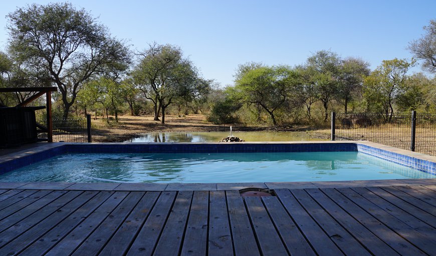 Welcome to Kwele Game Lodge! in Lephalale (Ellisras), Limpopo, South Africa