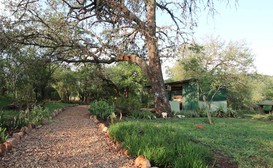 Shayamoya Rustic Bush Camp image