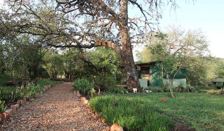 Welcome to Shayamoya Rustic Bush Camp! in Pongola, KwaZulu-Natal, South Africa