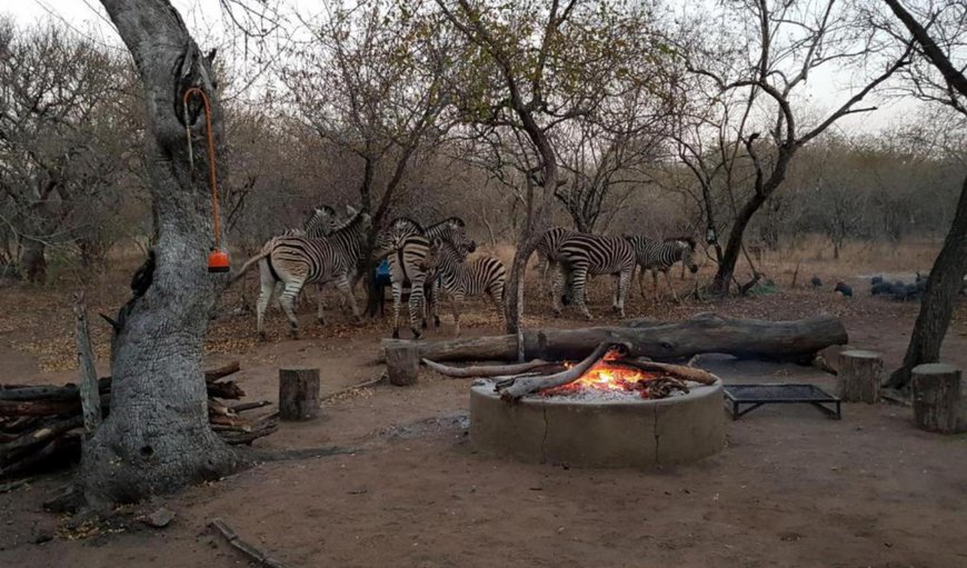 Welcome to HomeBase Kruger! in Marloth Park, Mpumalanga, South Africa