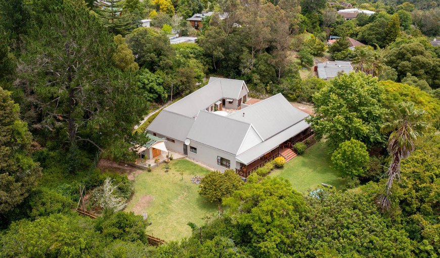 Welcome to bWhale Guest House in Knysna, Western Cape, South Africa