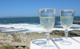 Beachfront Cottage - Hermanus Whale View image