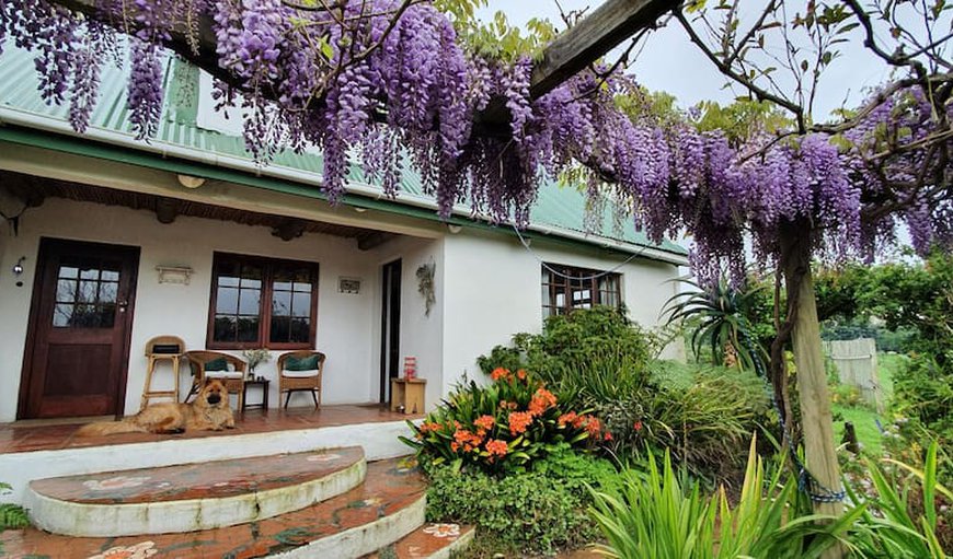 Welcome to Self Catering Accommodation in Baardskeerdersbos! in Baardskeerdersbos, Western Cape, South Africa