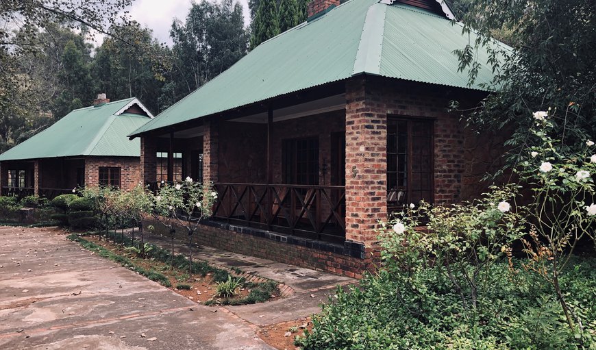 Welcome to Trout River Falls in Dullstroom, Mpumalanga, South Africa