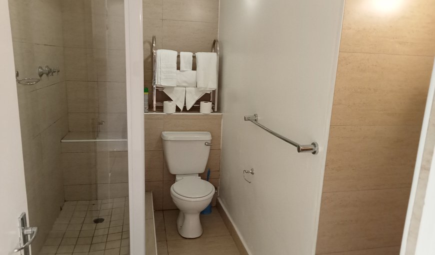Tenbury: Bathroom with a shower