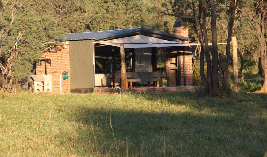 Luxury Bush Tent 5: Luxury Bush Tent 5
