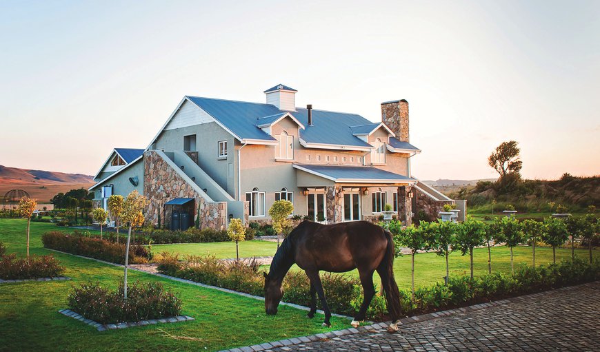 Welcome to Dunkeld Country & Equestrian Estate in Dullstroom, Mpumalanga, South Africa