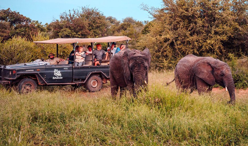 Welcome to Tshukudu Game Lodge in Hoedspruit, Limpopo, South Africa