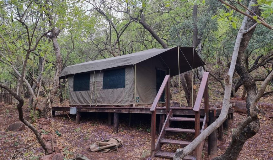 2 Sleeper Bush Tent: 2 Sleeper Bush Tent
