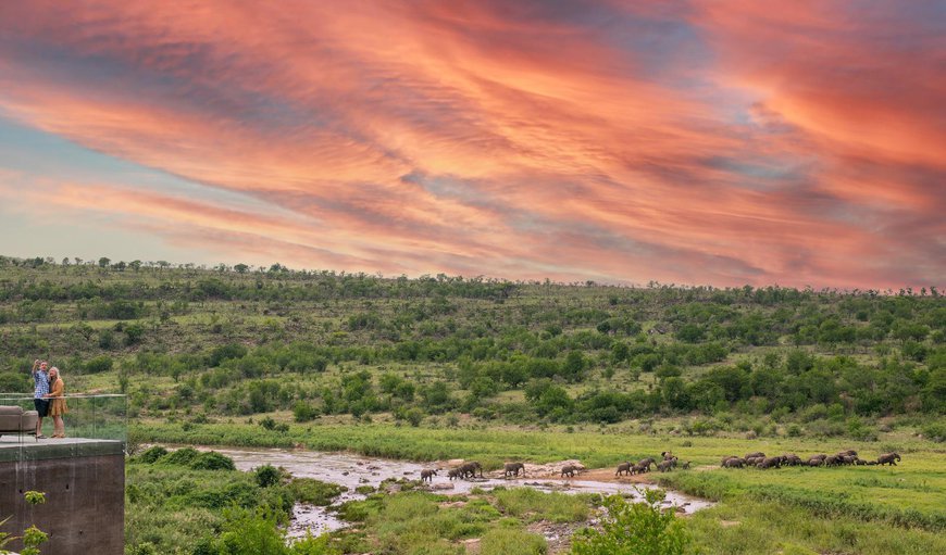 Welcome to mFulaWozi Wilderness Biyela Lodge in Hluhluwe, KwaZulu-Natal, South Africa