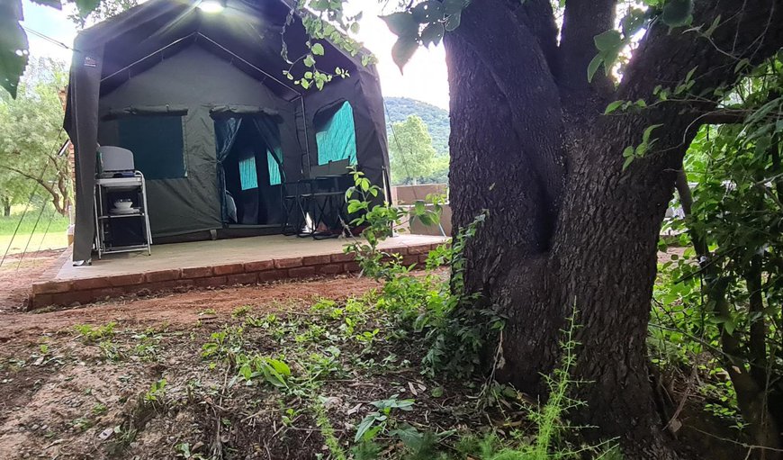 Safari Tent: Luxury Tent