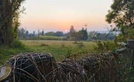 Cradle Farmstay image