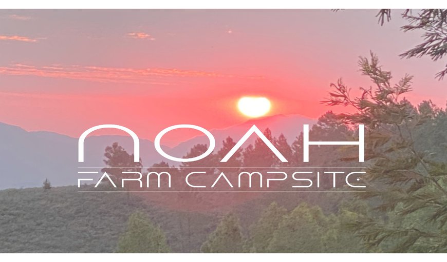 Welcome to Noah Farm Campsite in Wolseley, Western Cape, South Africa