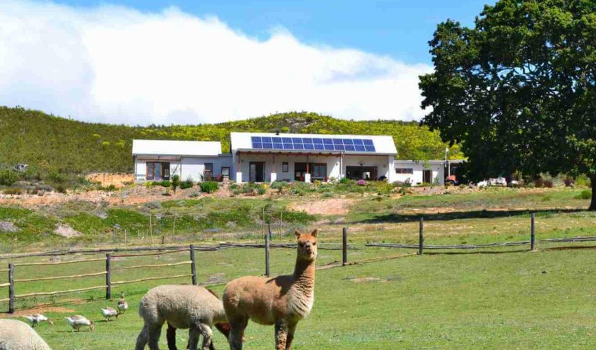 Welcome to Klein Watervalplaas in Tesselaarsdal, Western Cape, South Africa