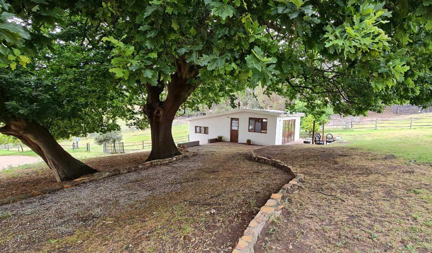 The Milking Shed: The Milking Shed