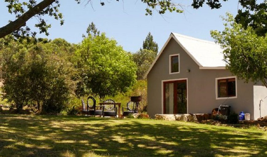 The Bush Cottage: The Bush Cottage