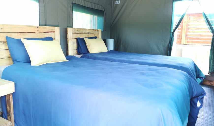 Standard Twin Tent: Standard Twin Tent - Twin beds