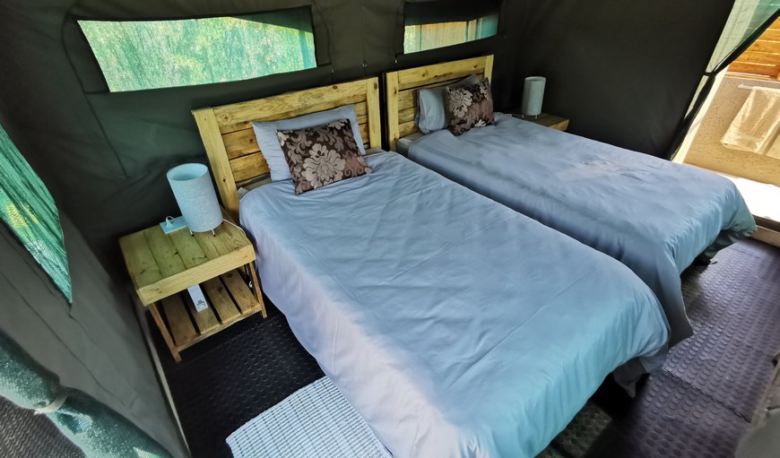 Standard Twin Tent: Standard Twin Tent - Twin beds