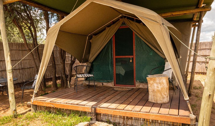 Tented Accommodation: Tented Accommodation - Tent