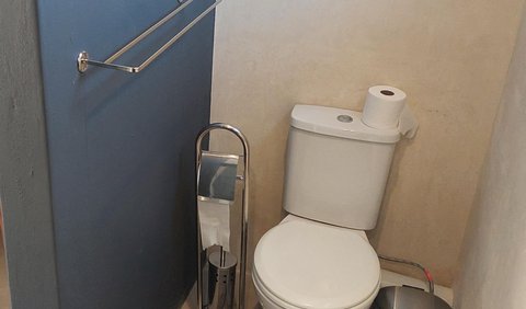 Luxury Queen Room: Toilet