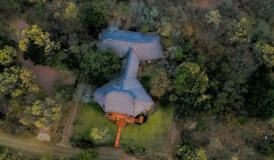 Bird's eye view in Marloth Park, Mpumalanga, South Africa