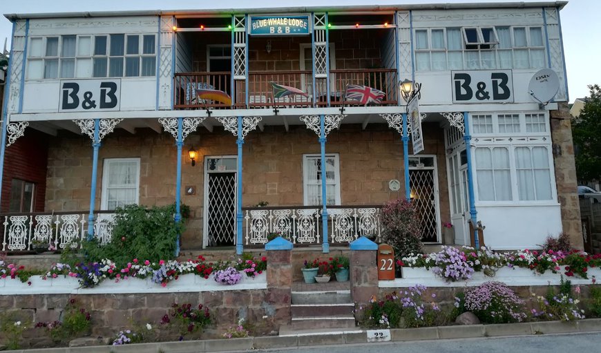 Welcome to Blue Whale Lodge in Mossel Bay, Western Cape, South Africa