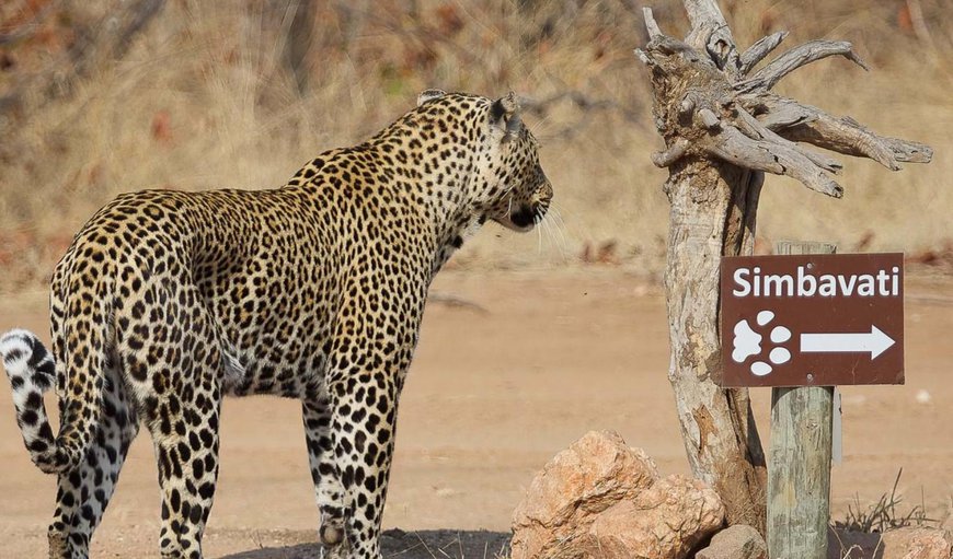 Facade or entrance in Hoedspruit, Limpopo, South Africa