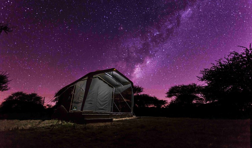 Horizon Savannah Tented Camp in Dinokeng Game Reserve, Gauteng, South Africa