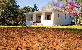 Khayalethu Cottage image