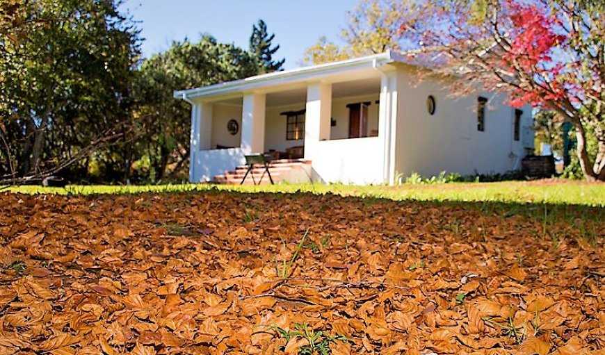 Welcome to Khayalethu Cottage in Hogsback, Eastern Cape, South Africa