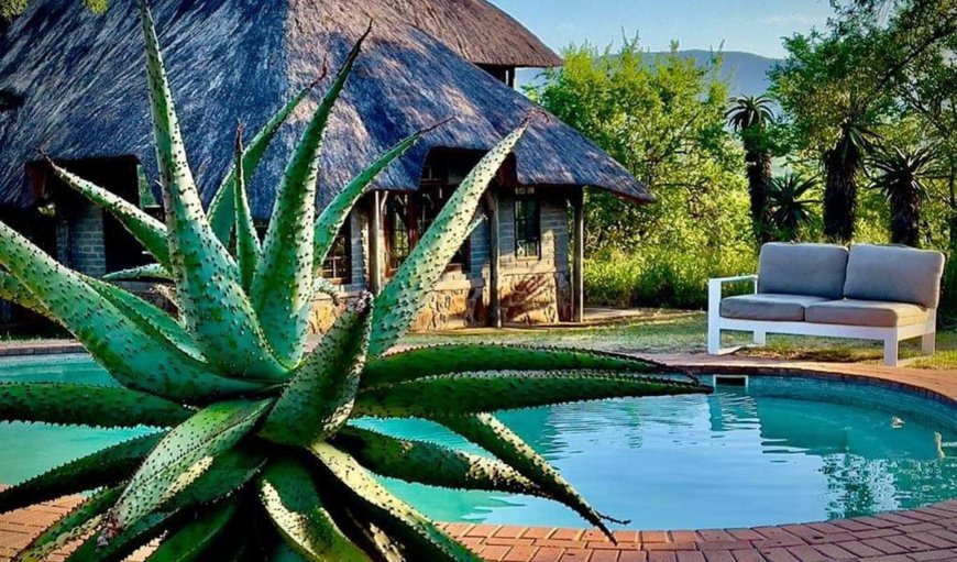 Swimming pool in Mkuze, KwaZulu-Natal, South Africa