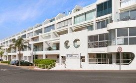 Gordonia 10 image