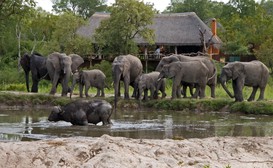 Simbambili Game Lodge image