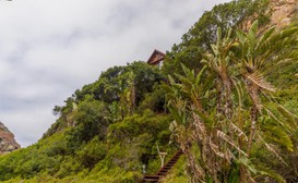 Ballots Bay Treehouse image