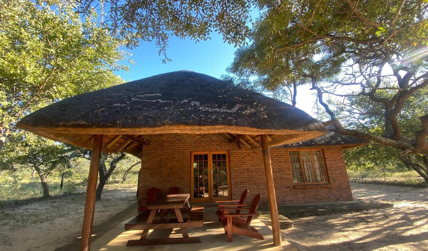 Bush Cottage: View (from property/room)