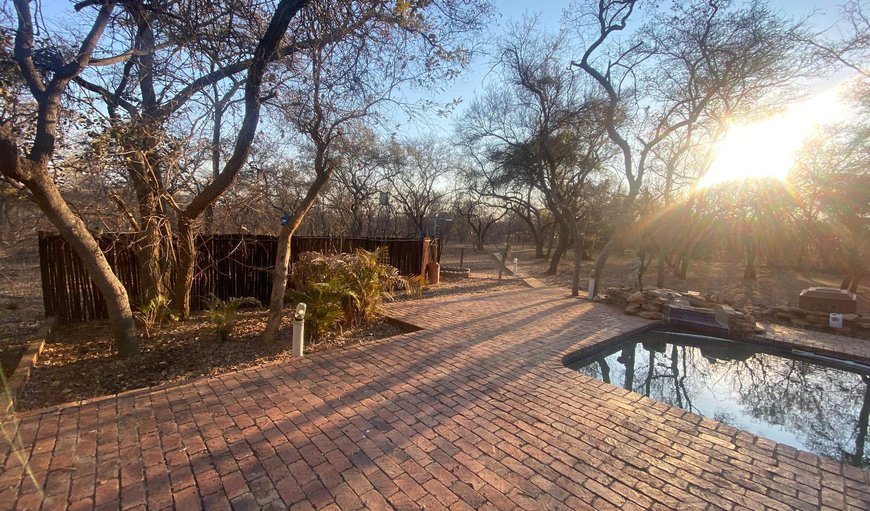 Private exclusive use campsite: Campsite area