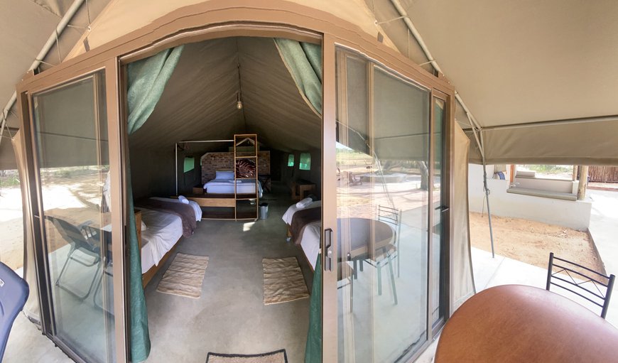Large Lux Lodge Tent: Entrance - Luxury tent