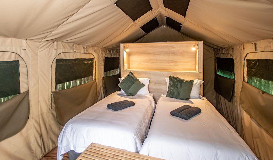 Luxury Tent: Bed