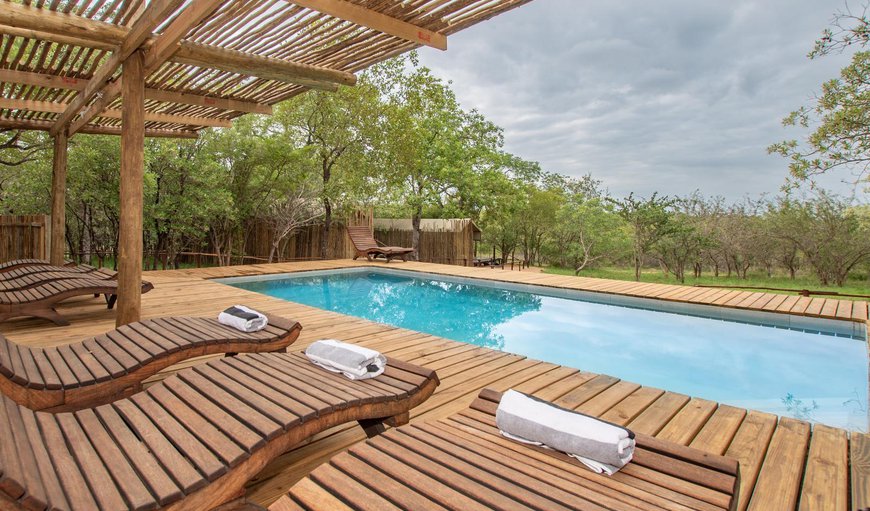 Swimming pool in Sabi Sands Game Reserve, Mpumalanga, South Africa