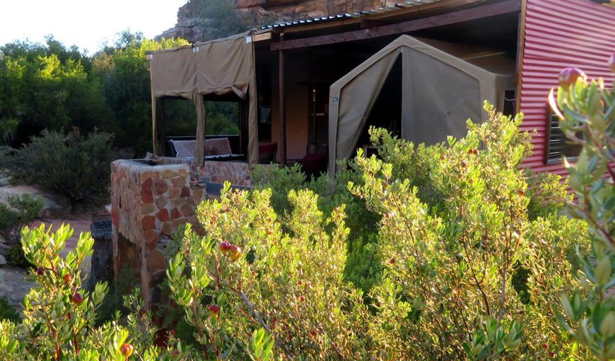Dassie Den (Glamping): View (from property/room)