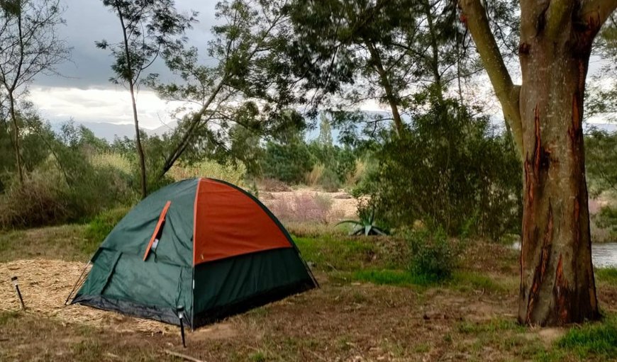 Gaia Family Campsite: View (from property/room)