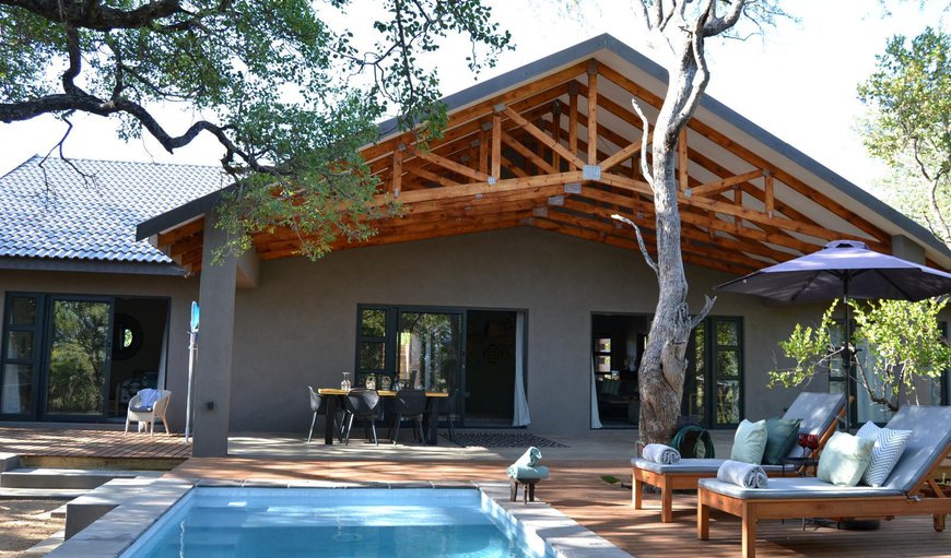 Swimming pool in Hoedspruit Wildlife Estate, Hoedspruit, Limpopo, South Africa