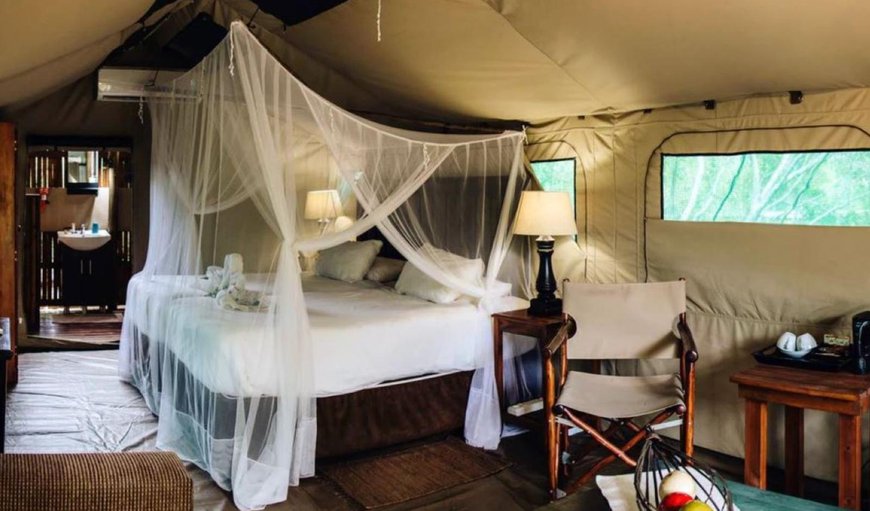 Luxury Tent: Luxury Tent