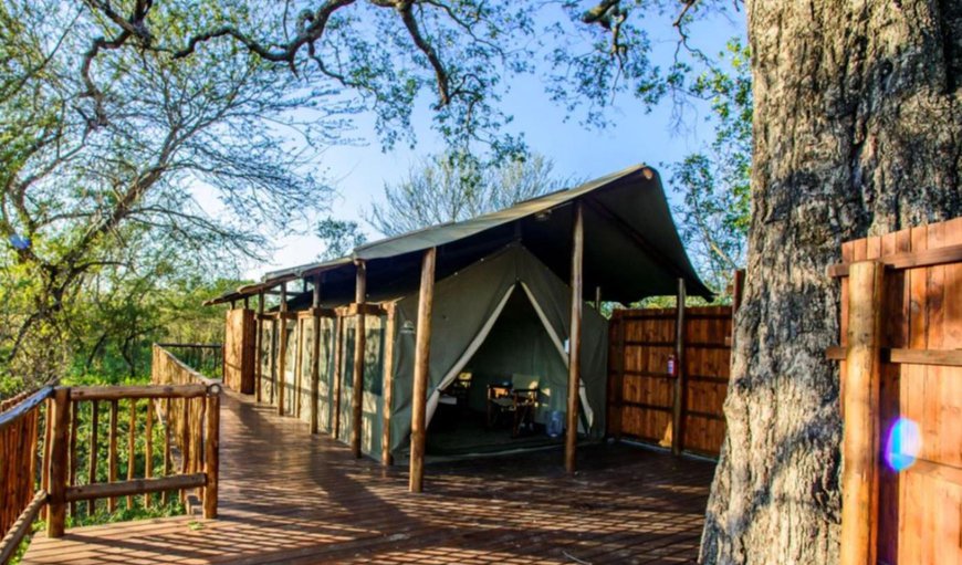 Luxury Tent