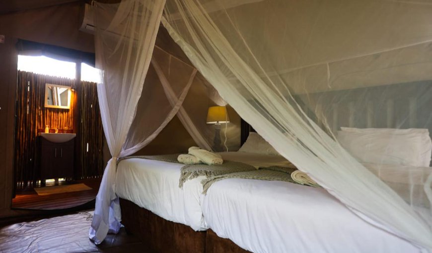 Luxury Tent: Luxury Tent