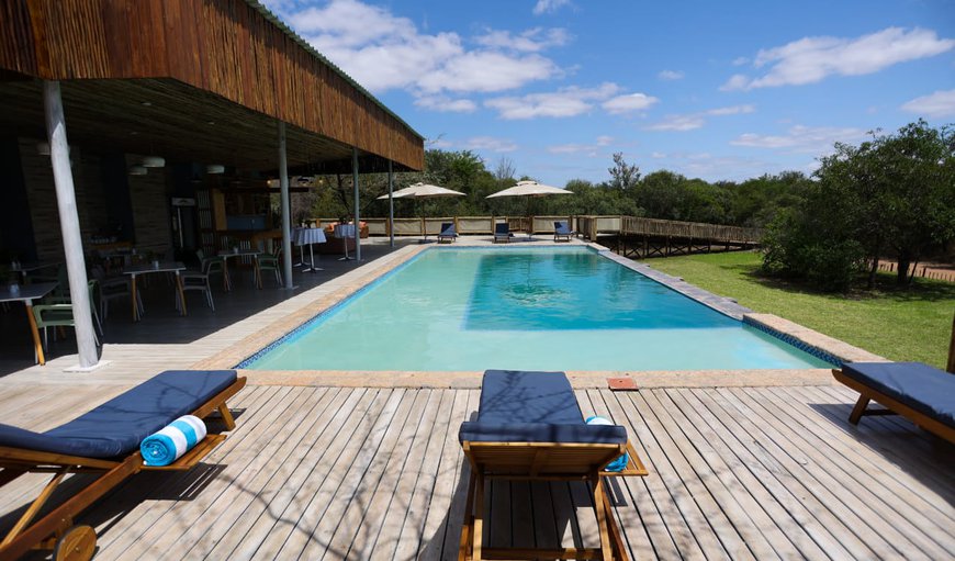 Pool in Manyeleti Game Reserve, Mpumalanga, South Africa
