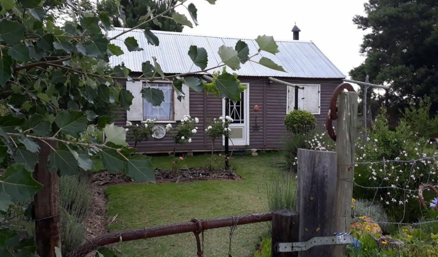 Facade or entrance in Twee Riviere, Eastern Cape, South Africa