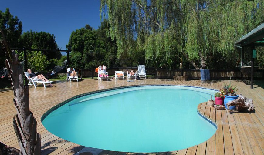 Welcome- Tube 'n Axe boasts the widest spread of accommodation options in Storms River set out amidst beautiful indigenous gardens and forest. in Storms River, Eastern Cape, South Africa
